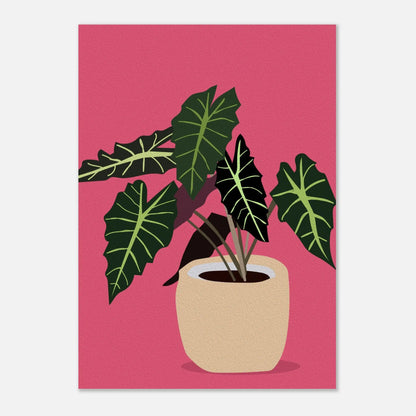 Plante Tropicale Graphique