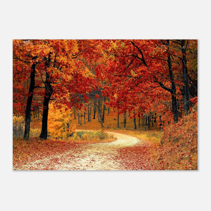 Poster - Autumn Road in the Forest