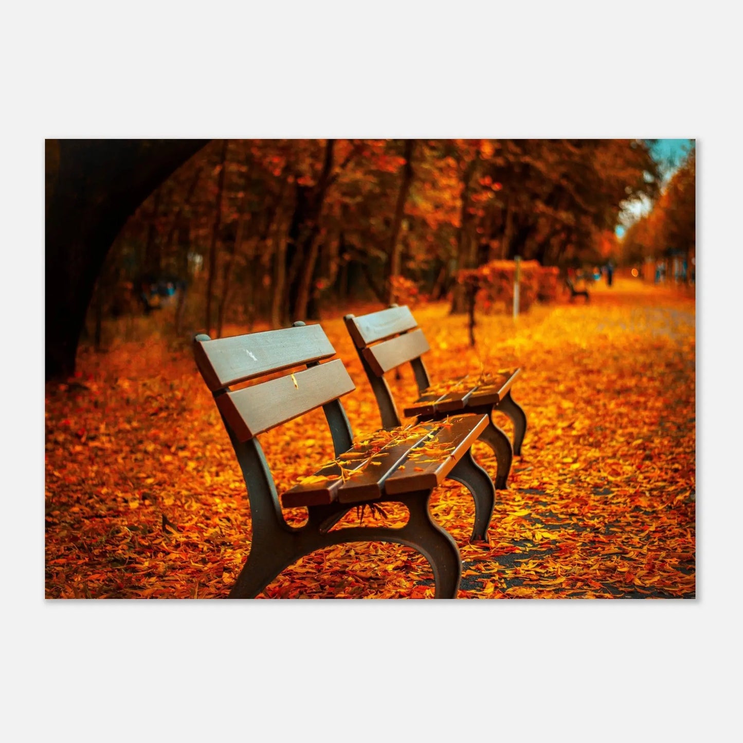 Poster - Bancs en automne