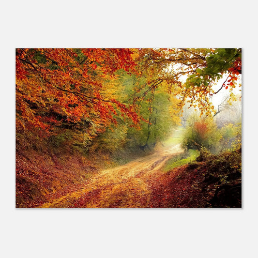 Poster - Chemin d’Automne