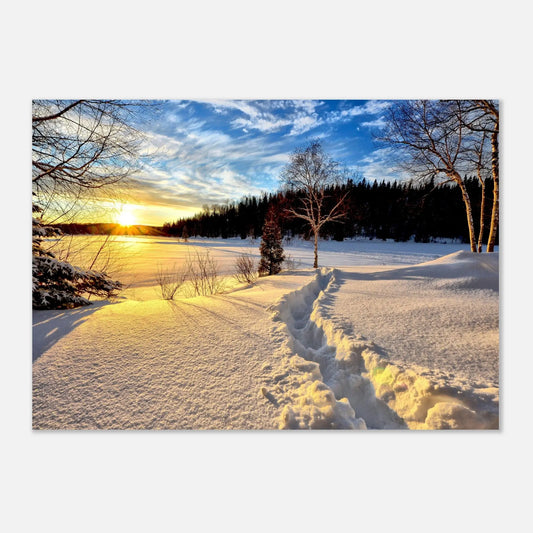 Poster Coucher de Soleil Hivernal