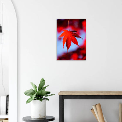 Poster - Crimson Maple