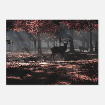 Poster - Deer In Autumn Forest